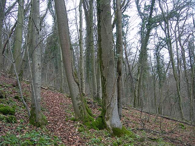 Nel  Regno  della  Jurana